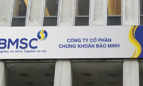 Chứng khoán Bảo Minh lỗ 38 tỷ đồng trong quý 3