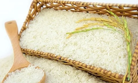 Nhãn hiệu Gạo Việt Nam được bảo hộ tại 22 quốc gia trên thế giới