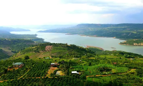 “Đón sóng” xu hướng bỏ phố về vườn hậu Covid-19, BĐS Lâm Đồng rục rịch trở lại
