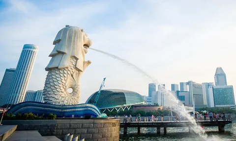 Đại biểu Quốc hội: 'Vì sao số doanh nghiệp Việt Nam chưa phát triển như mong muốn, thì nhiều doanh nhân Việt Nam lại thành lập DN ở Singapore?'