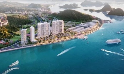 Nóng: Quảng Ninh tạm dừng thủ tục hành chính thuộc lĩnh vực đất đai tại một số xã, phường Thành phố Hạ Long