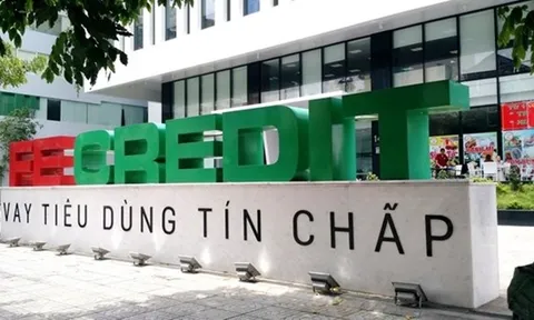 Nợ xấu tại FE Credit cao nhất trong 3 năm trở lại đây, lợi nhuận F88 lao dốc thảm hại