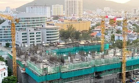 3 quý liên tiếp An Gia không ghi nhận bán được căn hộ nào, hàng tồn kho chiếm 60% tổng tài sản