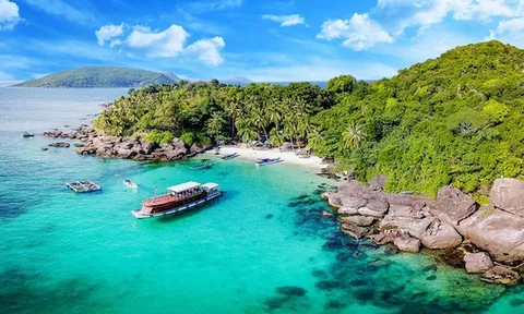 Bà Rịa - Vũng Tàu: Giao công an thẩm tra vụ đấu giá gần 8ha đất Côn Đảo - Doanh nghiệp Việt Nam