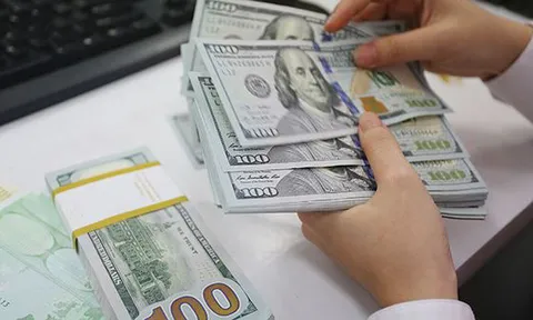 Sau gần 1 năm neo giữ, Ngân hàng Nhà nước hạ giá mua USD
