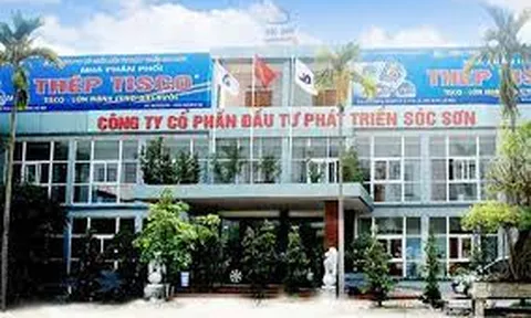 Công ty Cổ phần Đầu tư phát triển Sóc Sơn bị phạt 100 triệu đồng