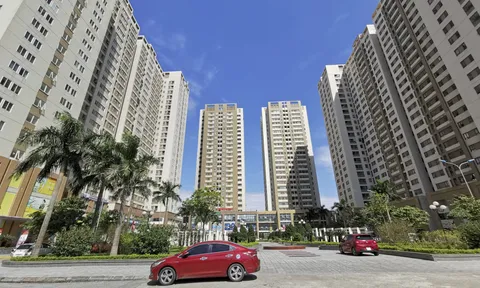 Sẽ thanh tra việc sử dụng quỹ bảo trì chung cư tại 11 tỉnh thành
