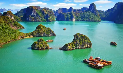 Đề xuất Chính phủ giảm thuế 50%, cân nhắc gói hỗ trợ tiếp theo để 'cứu' ngành du lịch