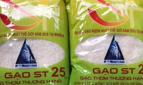 Gạo ST25 đoạt giải Á quân cuộc thi "Gạo ngon nhất thế giới 2020"