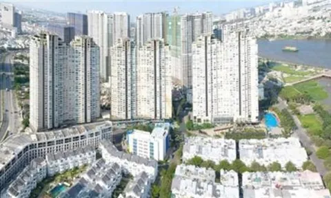 TP. HCM kiểm tra nghi vấn SSG Group xả thải không phép