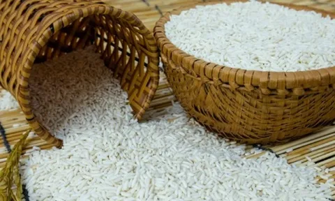Giá gạo Việt Nam tăng lên mức cao nhất trong 9 năm qua