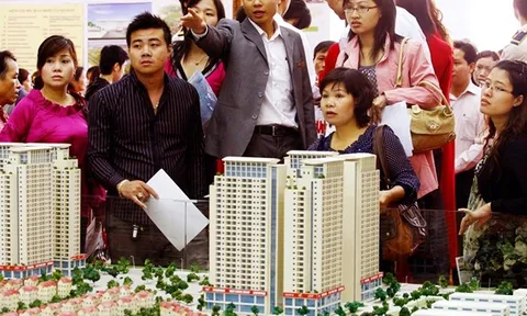 TP.HCM: Lập danh sách tổ chức, cá nhân kinh doanh bất động sản không phép
