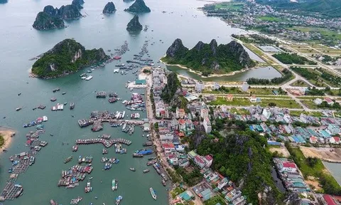 Hồ sơ Cty Mai Quyền làm dự án bến cảng Ao Tiên - Vân Đồn hơn 600 tỷ đồng