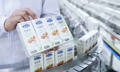 Vinamilk chào 2021 với lô sản phẩm sữa hạt và sữa đặc lớn nhất xuất khẩu đi Trung Quốc