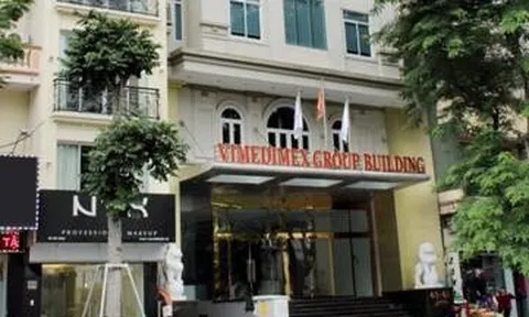 Công ty Vimedimex thông tin toàn bộ năng lực, hoạt động sản xuất kinh doanh của đơn vị