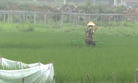 “Hô biến" đất nông nghiệp thành đất thổ cư đem ra bán đấu giá, Phó Chủ tịch TP Thái Nguyên tuyên bố vẫn đúng luật(?!) 