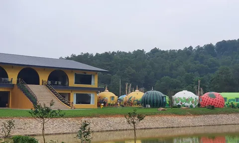 Sóc Sơn (Hà Nội): Dự án cải tạo chuồng gà “biến” thành khu sinh thái Đà Lạt tiên cảnh