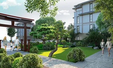 Long An xuất hiện shophouse mang phong cách kiến trúc Á Đông đặc sắc