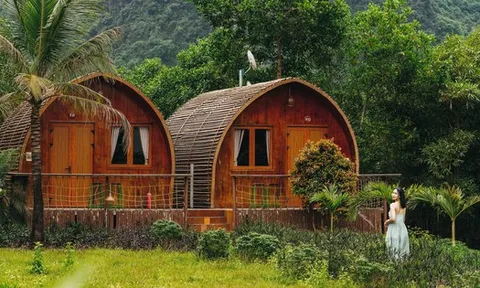 Từ Farmstay đến villa: những loại hình lưu trú lên ngôi trong mùa giãn cách