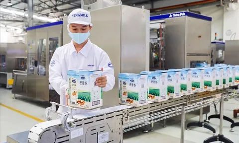 Vinamilk tiếp tục thuộc top 50 doanh nghiệp niêm yết tốt nhất 2021