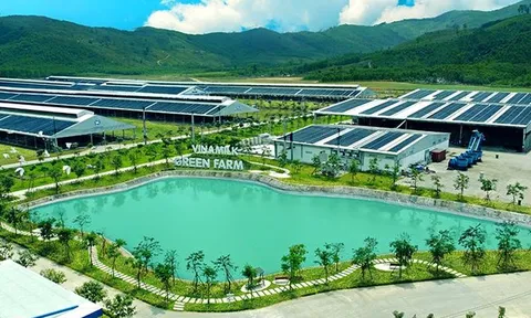 Đầu tư ESG: Thế giới đang sôi sục, nhà đầu tư Việt đã hiểu đến đâu? ESG – Xu hướng thế giới và sự “nhận diện” của nhà đầu tư Việt?