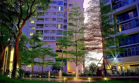 Nội chiến tại chung cư cao cấp bậc nhất Hà Nội: Cư dân tố Ban Quản trị tư túi cá nhân, mời thầu không minh bạch, biến toà nhà “chanh xả” thành khu tái định cư “bẩn, thối, lôm côm”