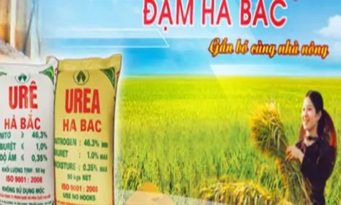 Đạm Hà Bắc bị nghi ngờ về khả năng hoạt động liên tục: Chủ nợ lớn nhất là VietinBank?