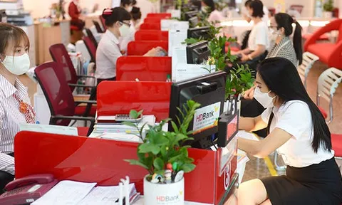 Sẽ giải ngân hàng chục triệu USD cho các dự án xanh ở Việt Nam