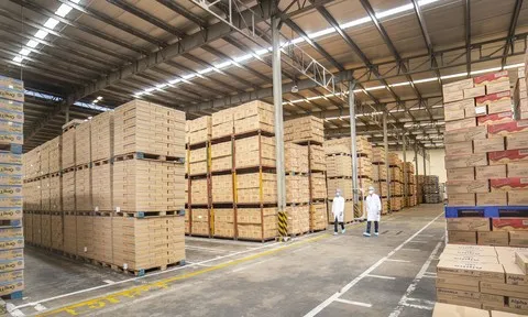 Ba mũi nhọn trong chiến lược thực hiện mục tiêu kép của Vinamilk