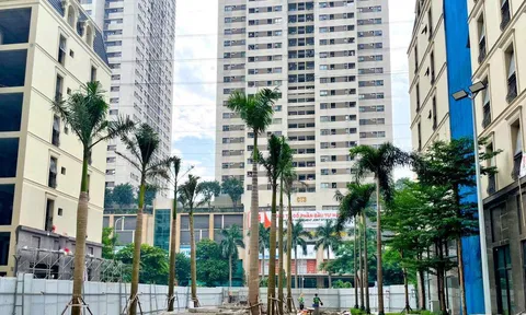 Văn Phú - Invest: Quan điểm khác biệt về an toàn lao động trên mỗi công trường