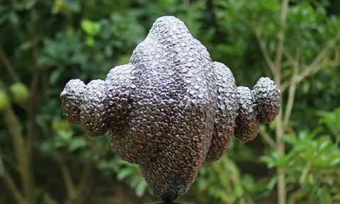 Triển lãm "Hỏi" - nơi trở về của bản ngã người nghệ sĩ