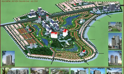 Bao giờ chấm dứt việc giao Cienco 5 Land thực hiện, quản lý dự án trái quy định của pháp luật?