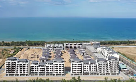 Việt Mỹ A&V: Lãi gấp 7 lần vẫn phải gia hạn 200 tỷ đồng trái phiếu