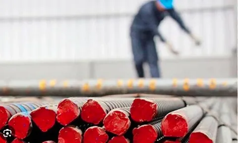 Khai sai thuế giá trị gia tăng, Thép Tiến Lên bị xử phạt