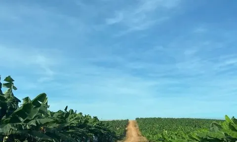 Trước tin đồn không có khả năng trả nợ, HAGL làm ăn ra sao?