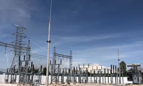 Xây dựng Điện Việt Nam (VNE): Thua lỗ gần 134,7 tỷ đồng sau 9 tháng, lên kế hoạch thoái sạch vốn tại 9 công ty con và liên kết