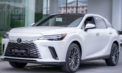 Gần 2.800 ô tô Lexus bị triệu hồi tại Việt Nam, nguyên nhân do đâu?