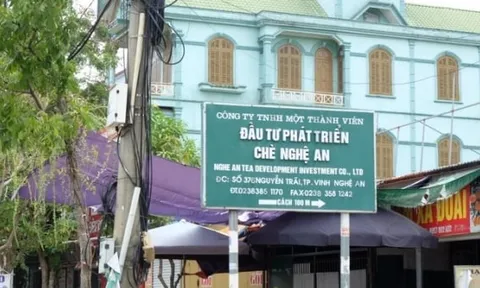 Kết quả kinh doanh kém vui của Công ty CP Tổng công ty Chè Nghệ An
