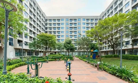 Người có đủ 2 con đẻ sắp được ưu tiên mua nhà ở xã hội