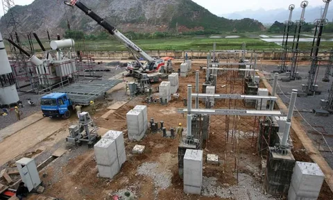 Cổ phiếu 'xông đất' sàn HOSE năm mới, TSA kinh doanh ra sao?