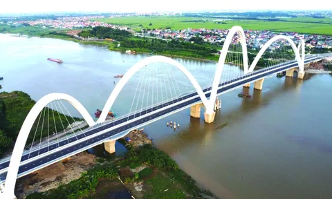 'Dứt cơn' FOMO thoái vốn, cổ phiếu TTL lao dốc không phanh