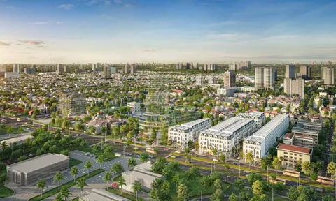 Tìm hiểu Dragon Group, ông chủ Thái Bình Diamond City vào danh sách thanh tra