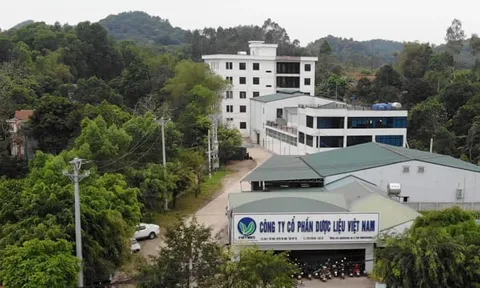Dược liệu Việt Nam (DVM): Góp 268 tỷ vào dự án nhà máy chuẩn EU-GMP, định giá cổ phiếu thấp, huy động vốn đối mặt thách thức