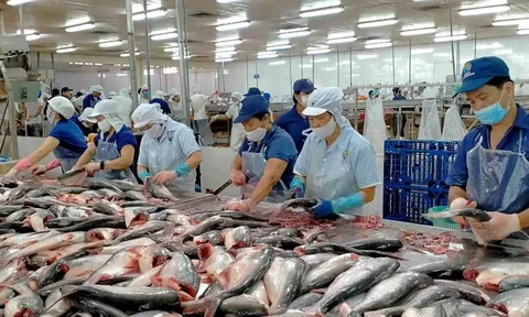 Chủ tịch Nam Việt (ANV) muốn thoái sạch vốn cá nhân: Cổ phiếu tăng 36%, lợi nhuận gấp 18 lần nhưng lãnh đạo vẫn tranh thủ ‘chốt lời’?