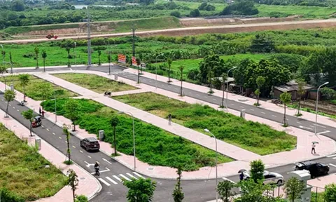 Nâng mức đặt cọc đấu giá đất lên 50% giá khởi điểm