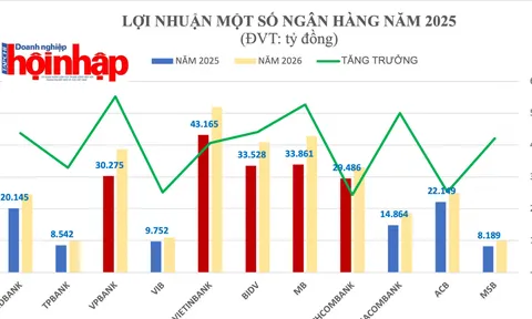 Dự báo năm 2025: Nhiều ngân hàng Việt Nam gia nhập câu lạc bộ lợi nhuận tỷ USD