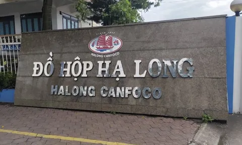 Lộ 120 tấn thịt lợn nhiễm bệnh: Đồ hộp Hạ Long kinh doanh ra sao, bán cho đối tác lớn nào?