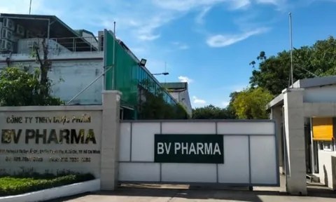 Phạt, đình chỉ hoạt động Công ty Dược phẩm BV Pharma