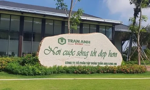 Công ty Cổ phần Tập đoàn Trần Anh Long An bị cưỡng chế thuế