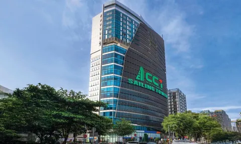Tăng vốn hơn 1.100 tỷ đồng: Bước đi chiến lược của CC1?